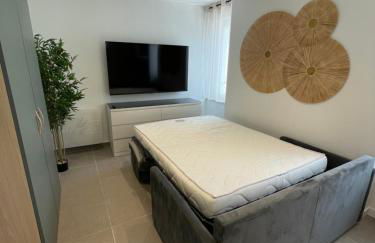 Les lionceaux - Foto 2