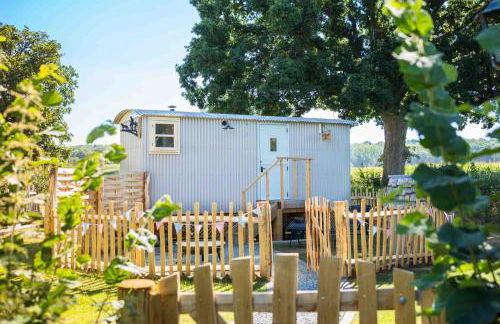 The Hideaway Hut - 1 Bed Shepherds Hut - Hereford - Photo 21