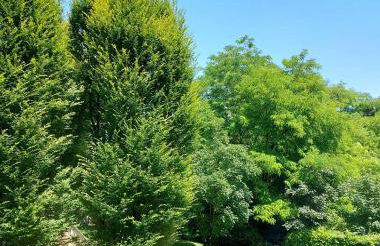 el'Gio Feel at Home - appartamento a 3 min dal centro di Pordenone - Foto 20