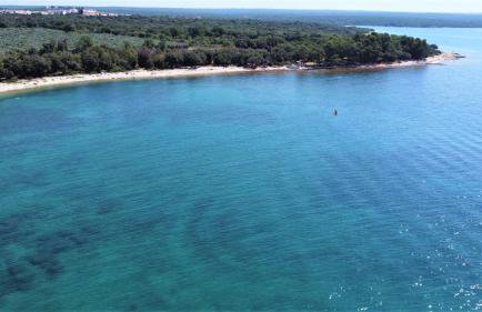 Apartmani Lisicak - Photo 17