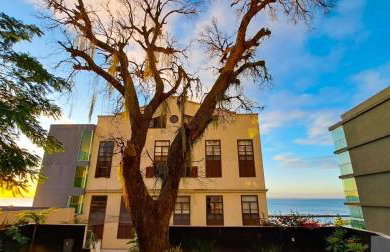 Cloc Marina Carnaval em Salvador 2025 - Foto 7