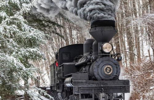 Lux Stay USA Ballhooter Vista Ski-InOut Hot Tub - Foto 44