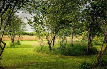 Marcassie Farm Lodges - Oak Studio - Accessible - Foto 16