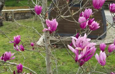 Casa grilo valença - Foto 20