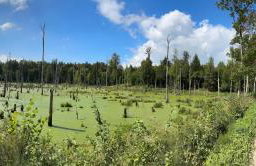 Dom pod Aniołem - Foto 22