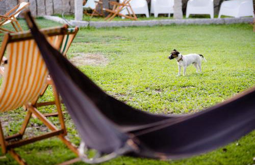 Quinta De Vila Nova - Agroturismo - Foto 22