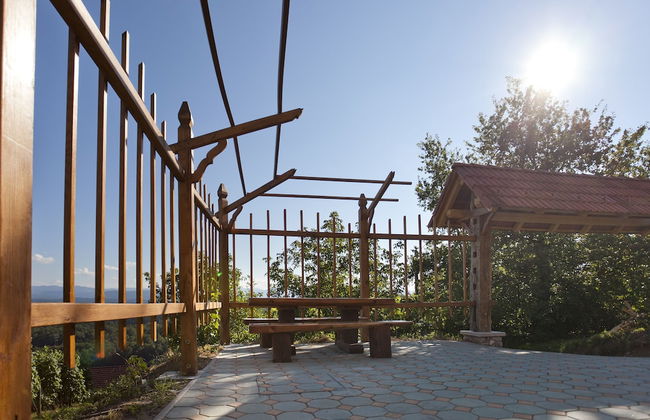 Vineyard cottage Luštek - Foto 5