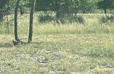 Apt 5 - High Plains Lodge at Nomad Landing - Foto 13