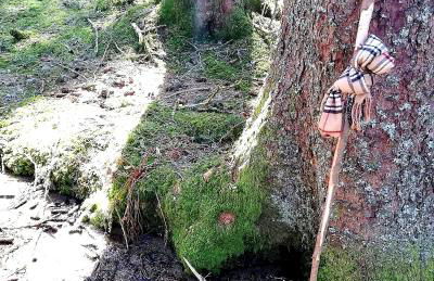 INSIDER Appartement - Foto 19