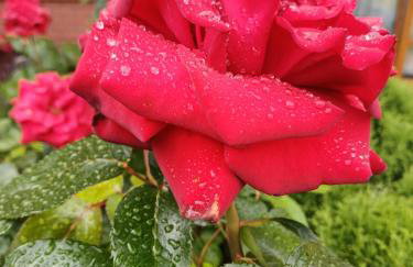 Apartamenty LeVilla - Foto 64