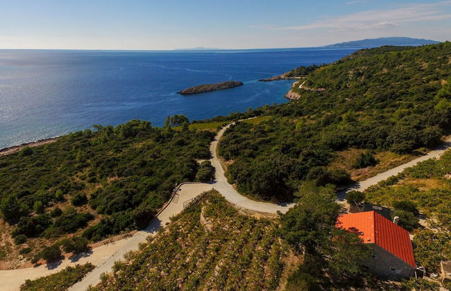 Country Home Dingač - Photo 29