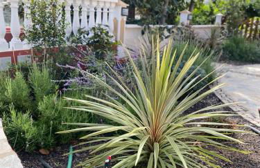 Banana House - Foto 14