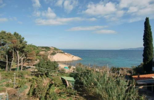 Ammiraglio - Foto 49