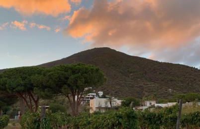 Villa Giacinti - Foto 46