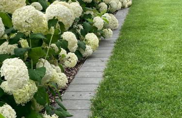 Seepark Cox ️️️️ - Foto 21