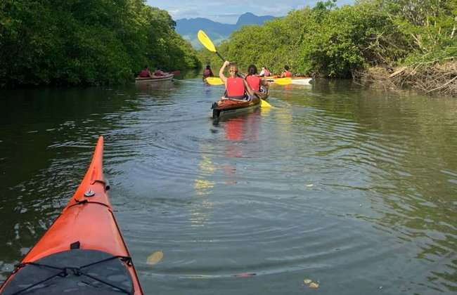 Paraty Bay Kayak Tour - Photo 6