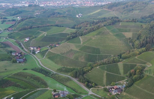 Fantastic Apartment in Oberkirch - Foto 26