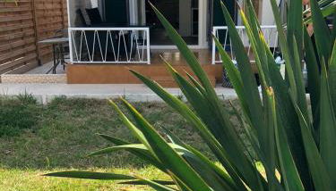 Azul - Foto 2, Garden