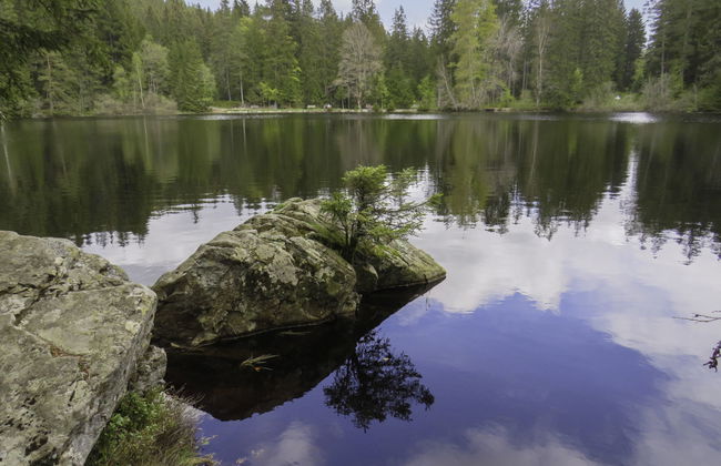 Haus Ganter - Foto 25