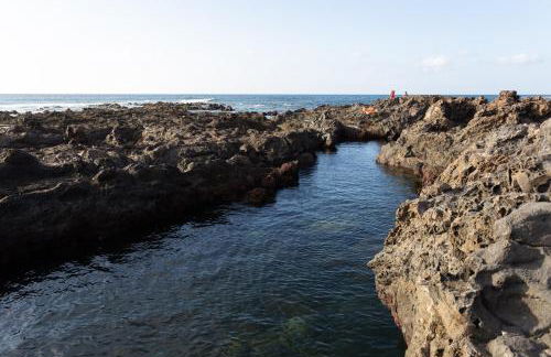 Finca Los Geranios - Foto 64