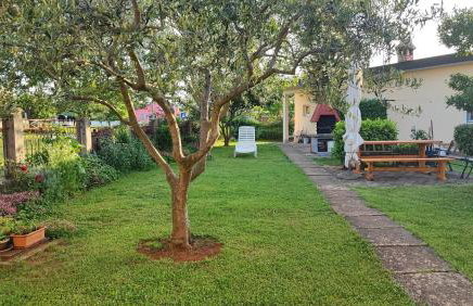 Apartment Dado - Foto 15