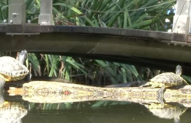 WMC BUSCHMANN Wohnwagenvermietung - Foto 27