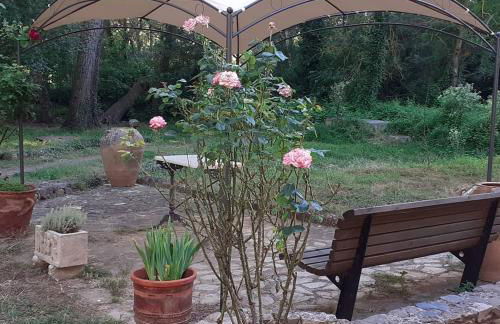 Molí dels Aubins - Foto 24