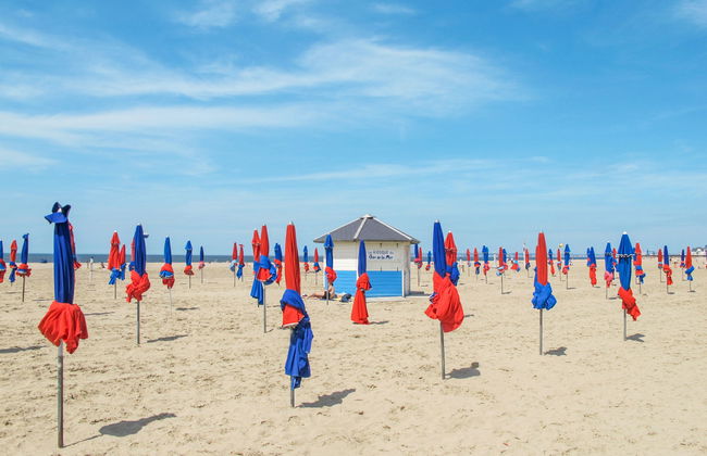 3 bedroom House in Cambes-en-Plaine with garden and terrace - Photo 18