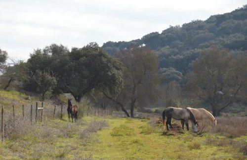 Herdade Ribeira de Borba - Foto 44