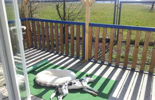 Tonis Hütte - Foto 14