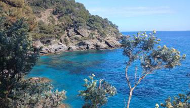 Appartement T2 à la Croix Valmer piscine et tennis - Foto 5