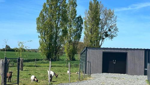 Gîte Marie entre Frehel et Erquy 3 chambres - Foto 3, Garden