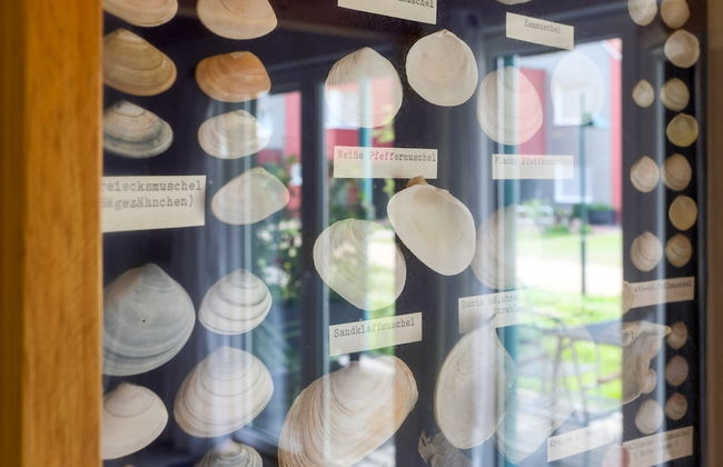 Plau Lagoons - Photo 60