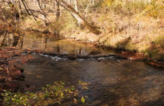 Creekside Cabin Near Waterfalls, Hiking & Lake Cabin 4 - Foto 24