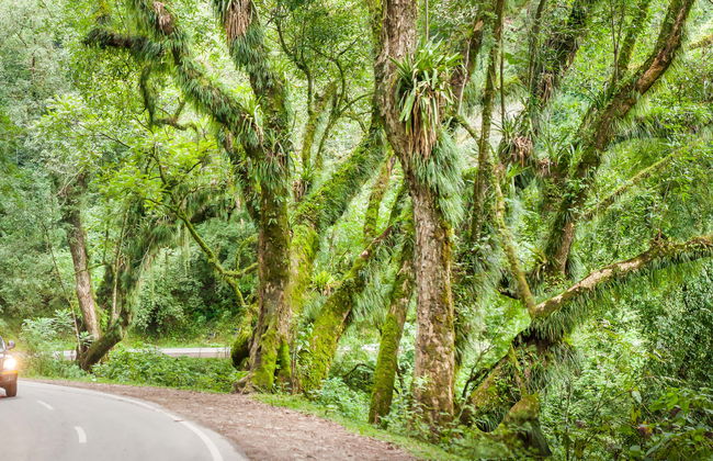 Day Trip to El Rey National Park - Photo 1
