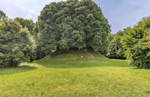 La Montagnola - Foto 3