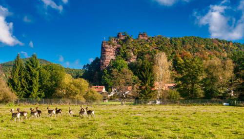 Barbaras Felsenlodge - Foto 2