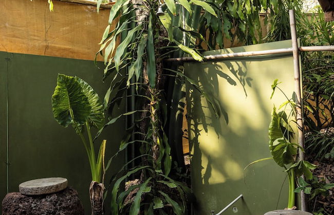 Khaama Kethna Wellbeing Retreat Centre - Foto 56