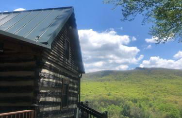 Cozy Historic Cabin with stellar view of Big Schloss - Foto 23