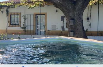 Quinta da Horta Nova - Foto 13