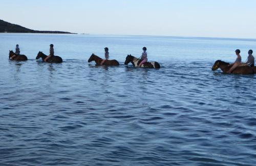 CHEZ ADRIEN 108-Appartement magnifique vue mer piscine chauffée - Foto 44