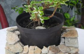 Apartments Hropić - Foto 27