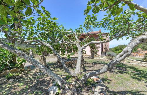 Agriturismo Amandolo - Foto 19