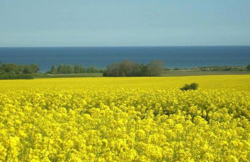Elegantes Landhaus in Bastorf nahe dem Meer - Foto 35