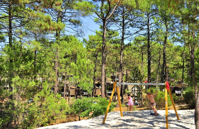 Les Oyats Sylvadoures - Foto 25