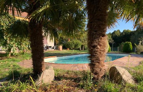 A PORTELA - Pereiro de Aguiar - Foto 27