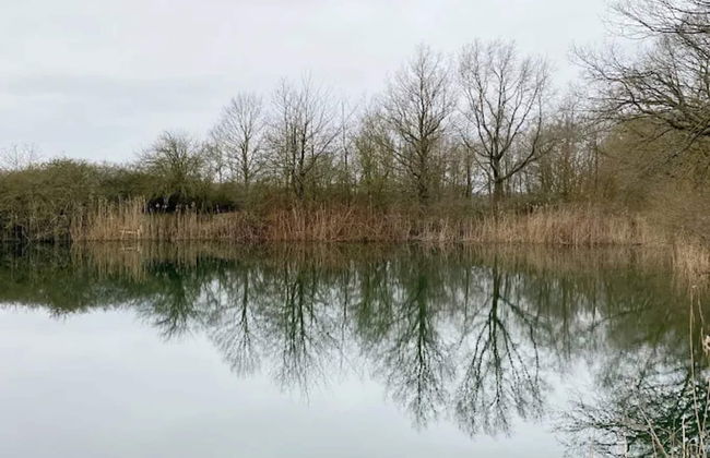 Arresting Apartment near Sea in Klütz - Foto 23