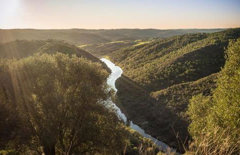 Parque de Natureza de Noudar - Foto 44