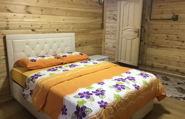 Hanzade Apart 2 - Photo 5