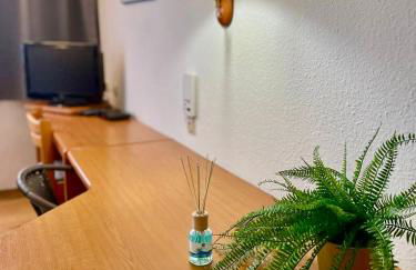 Schwanstetten bei Nürnberg, gemütliches Apartment mit Küche Bad TV - Foto 5